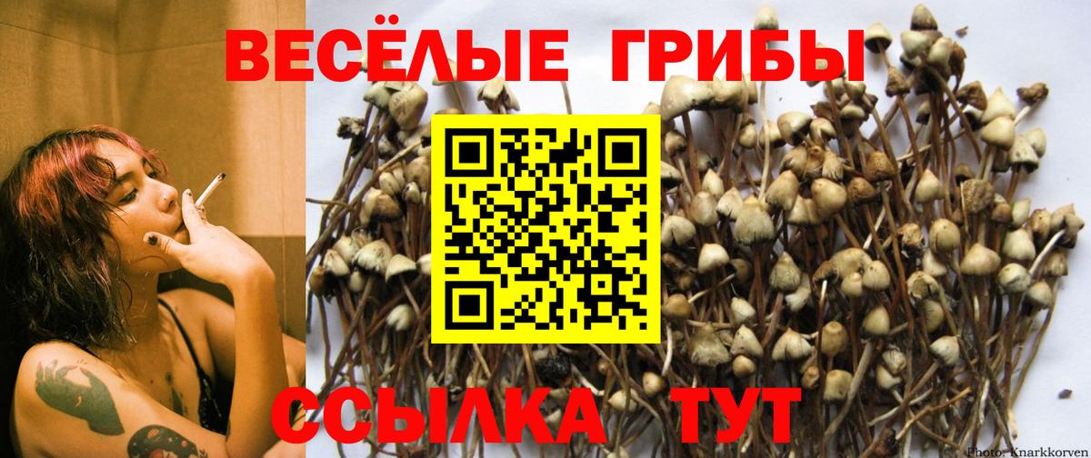 Галлюциногенные грибы GOLDEN TEACHER Пугачёв