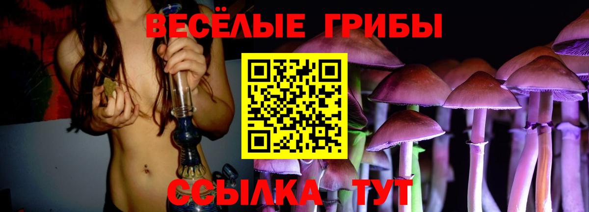 Галлюциногенные грибы Psilocybe  Вход с VPN  Пугачёв 